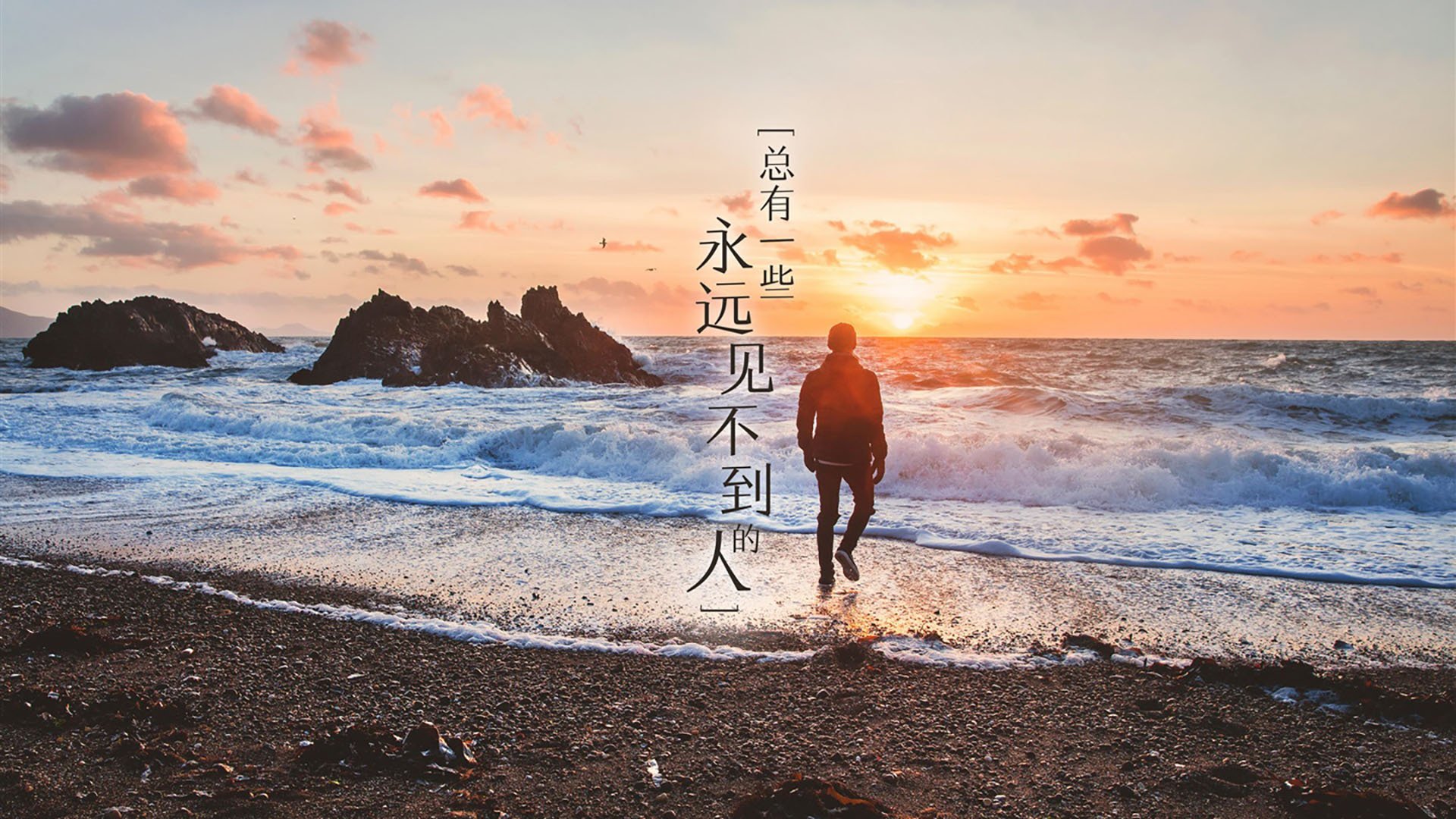 密尔沃基雄鹿签下新秀维克托·文班亚马，密尔沃基雄鹿队球星