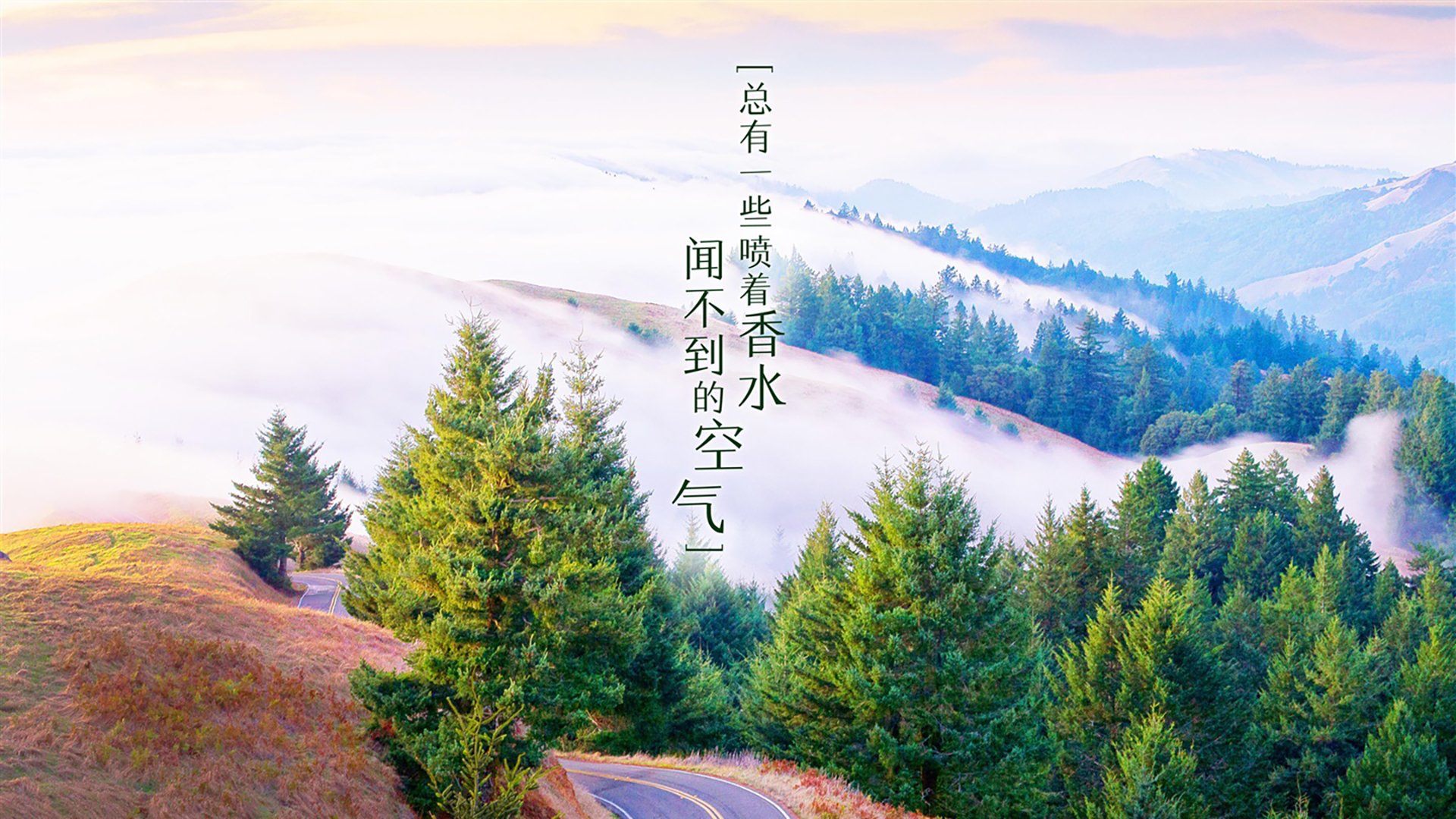 未来“足球巨星”崭露头角：新星闪耀欧冠舞台，足坛未来巨星