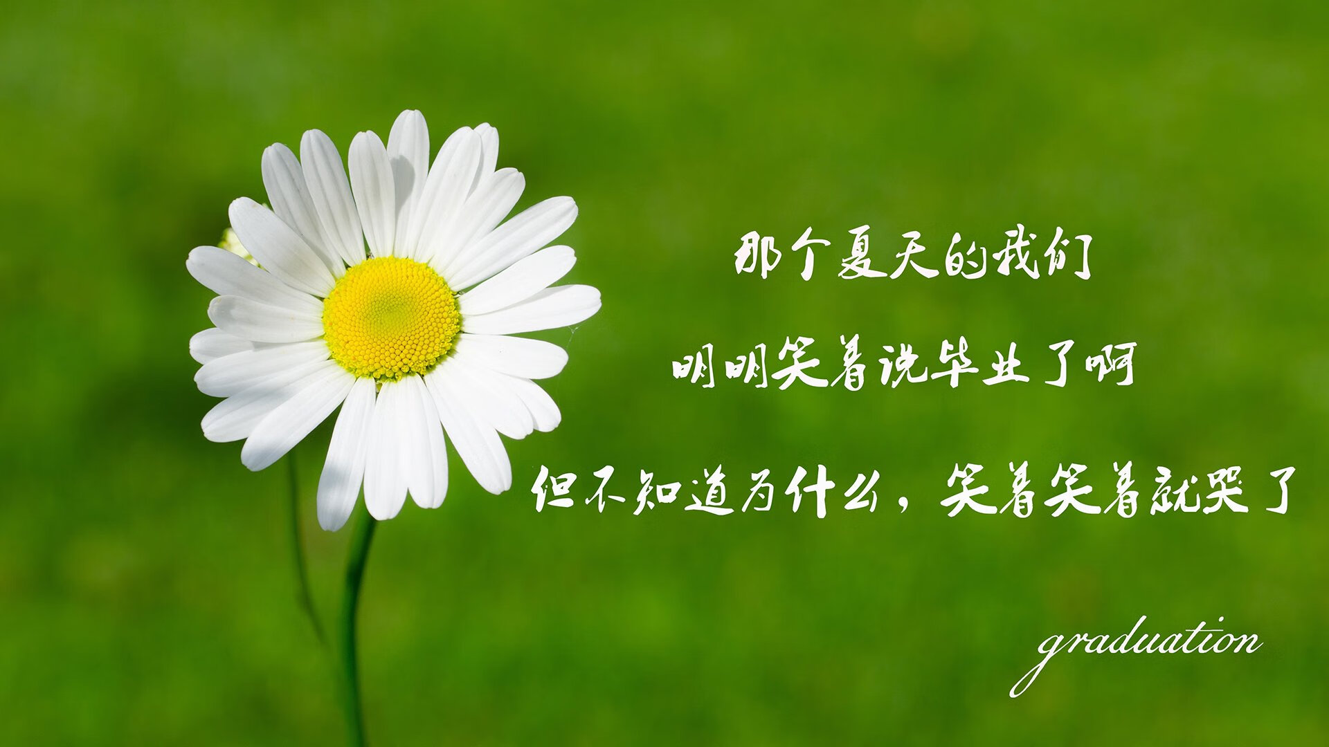 法兰克福客场失利，德甲前四席位动摇，德甲法兰克福队服