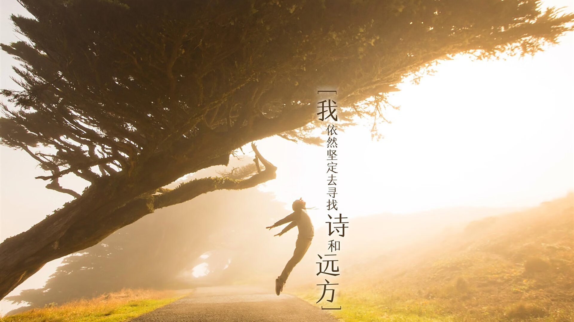 热那亚-战平博洛尼亚，陷入平局泥潭，博洛尼亚对热那亚预测分析