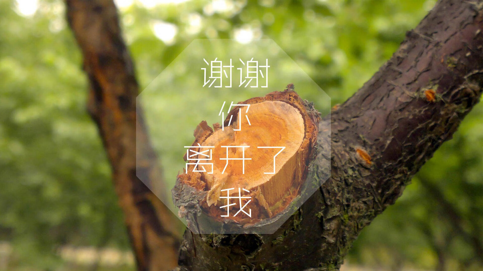 电竞职业选手心理压力调适方法及职业倦怠预防研究，电竞职业选手日常工作