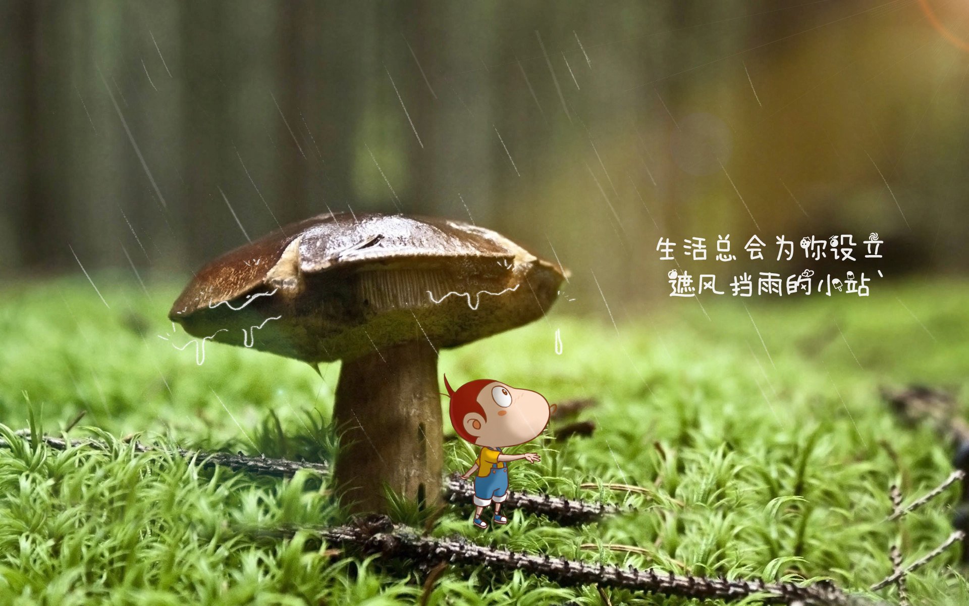 爱游戏中国官方登录入口网站-运动员伤病预防体系建设，运动员预防伤病心得