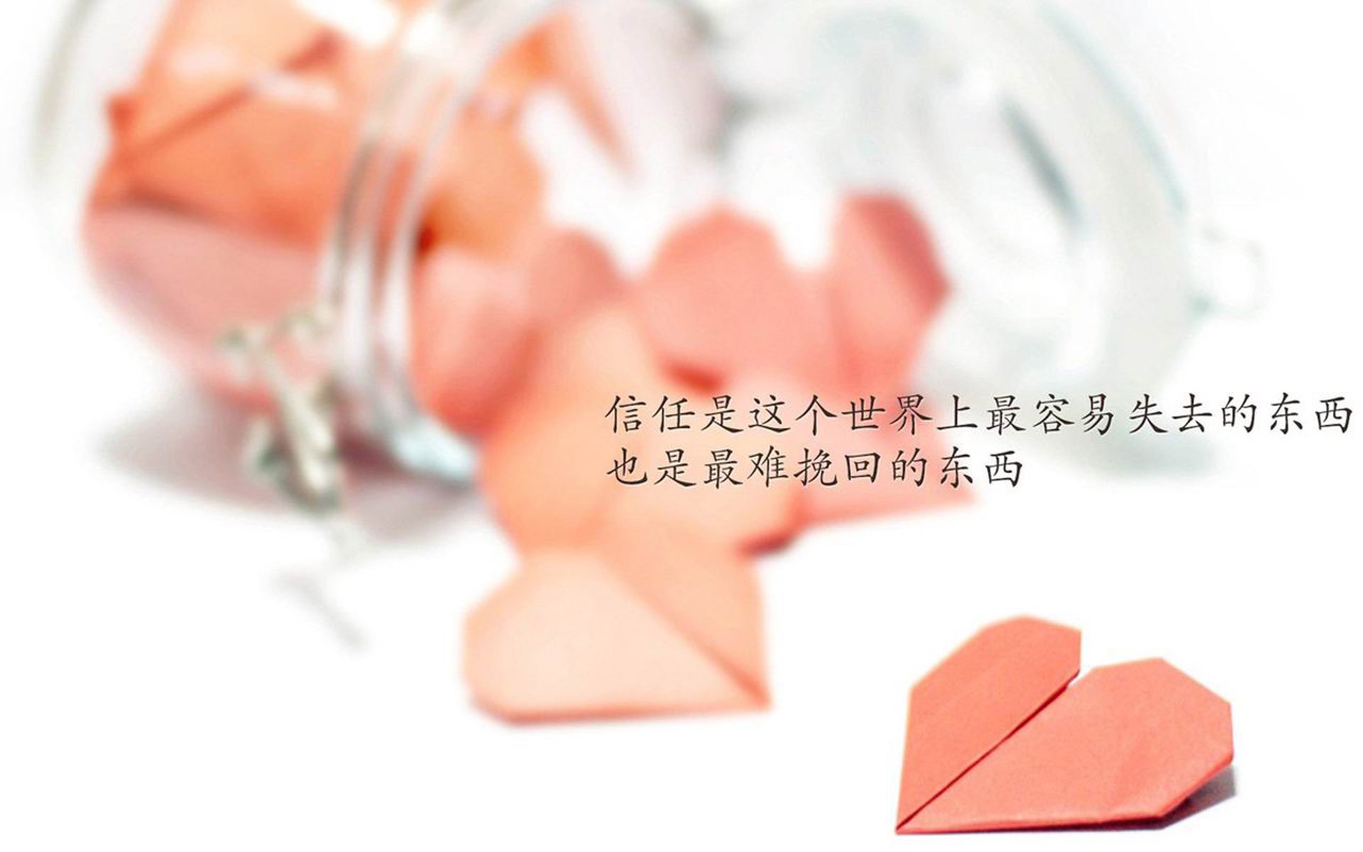 爱游戏app下载-体育文化活动促进全民健康生活，助力全民健身活动促进体育事业发展