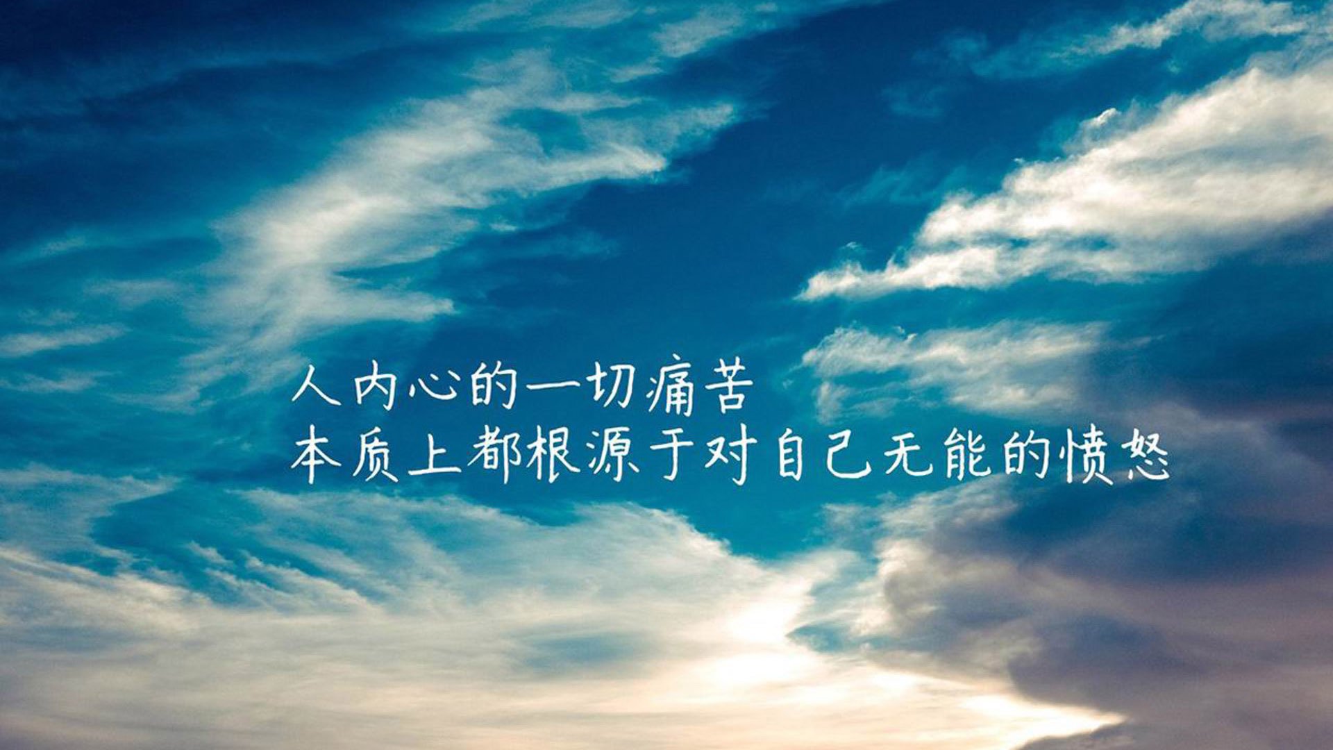 印度队2024年世界杯：从经验到信心的全面提升，印度1950世界杯