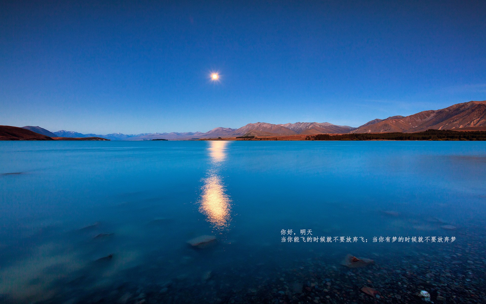 大学篮球联赛规范化建设促进学生运动员全面发展,大学生篮球联赛的意义
