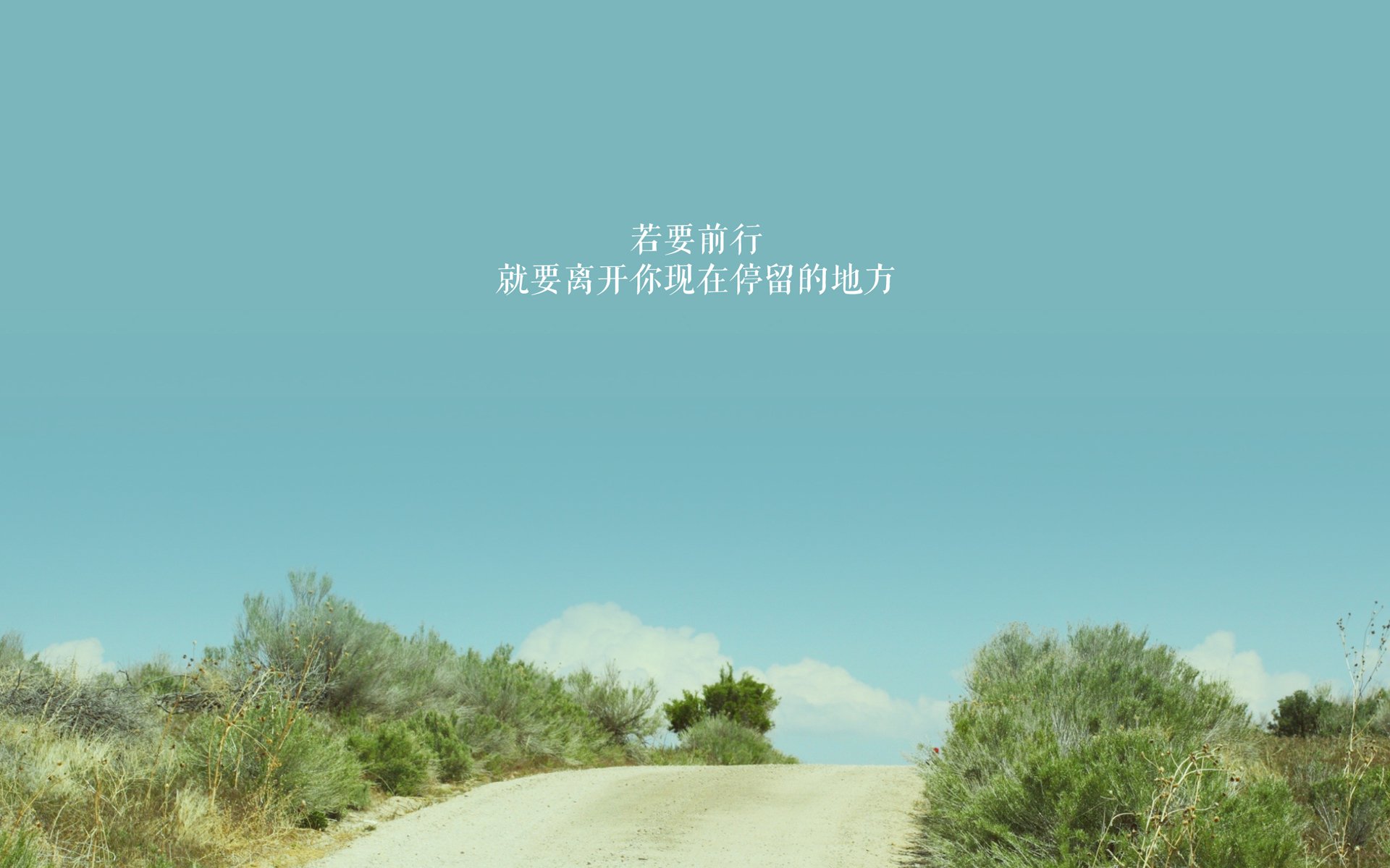 里奇·麦考：全黑队的铁血防守，如何屡屡压制对手进攻