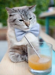 里根·史密斯用速度与耐力完美结合，里根史密斯仰泳